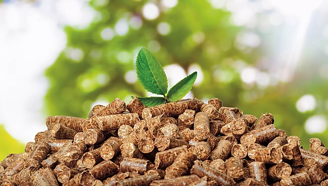 Top 10 High-Quality Wood Pellets 2024